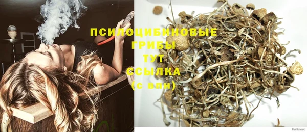 прущий лед Кулебаки